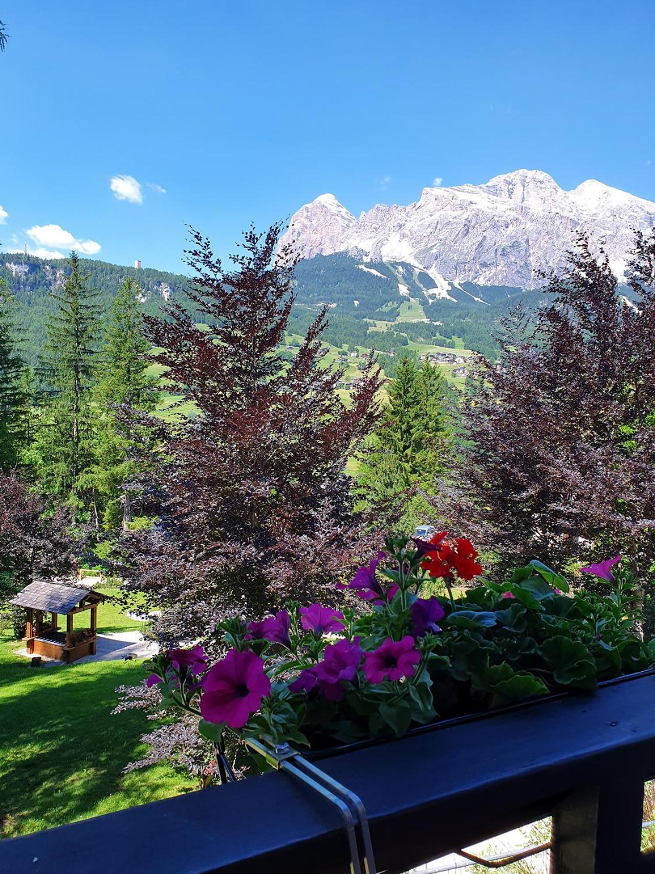B&B Cristallo Cortina dʼAmpezzo Kültér fotó